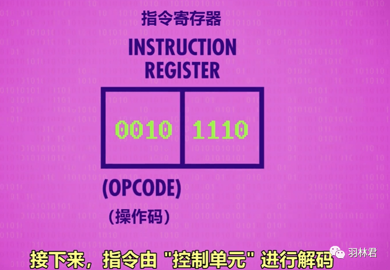 管家婆一肖一马资料大全，未来解答解释落实_运动版73.6.97